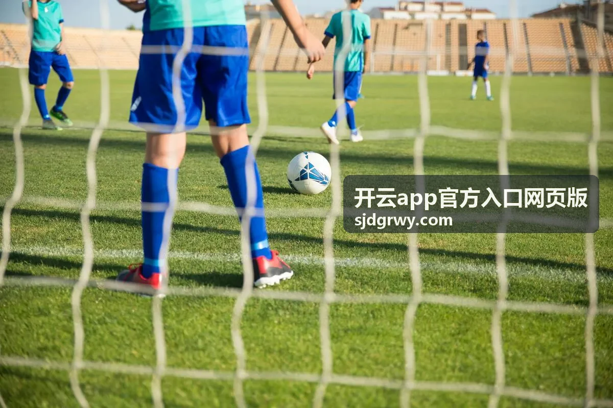 开云app官方入口网页版功能分区说明配图