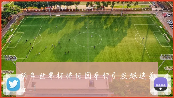 明年世界杯将何国举行引发球迷关注_1