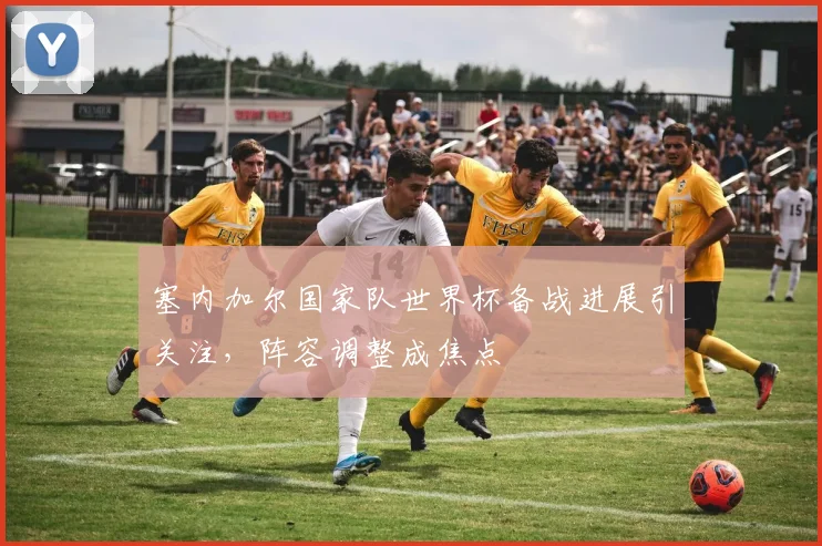 塞内加尔国家队世界杯备战进展引关注，阵容调整成焦点
