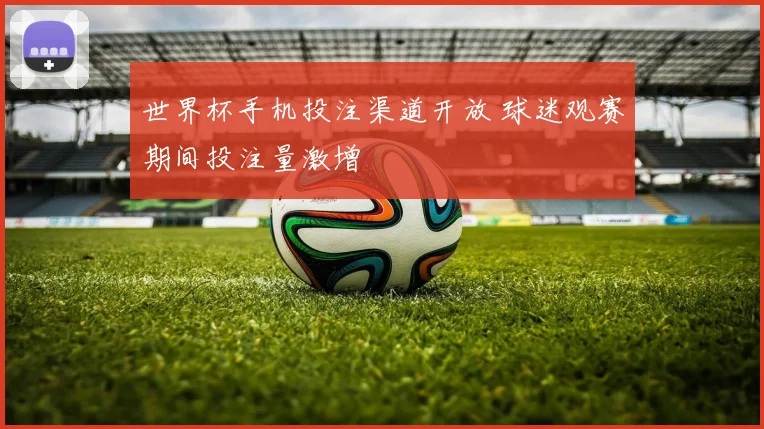 世界杯手机投注渠道开放 球迷观赛期间投注量激增
