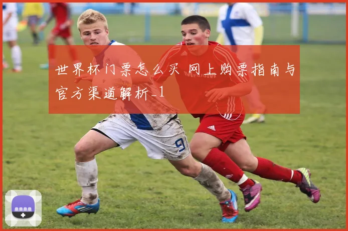 世界杯门票怎么买 网上购票指南与官方渠道解析_1
